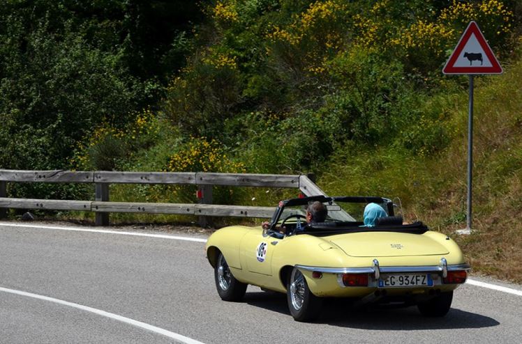 13669040_794144914021078_7240146095940710087_n